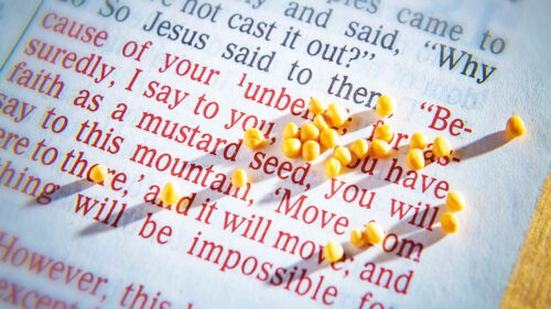 The Parable of the Mustard Seed — The Bible: The Power of Rebirth