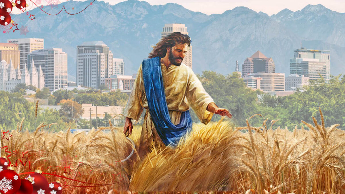 The Harvest — The Bible The Power Of Rebirth