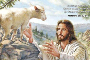 The Prodigal Shepherd